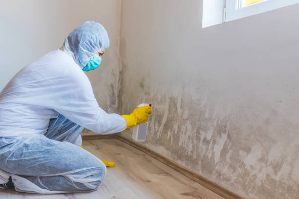 Licensed Commercial Mold Remediation service in Montgomery Village, MD - WQB Mold Removal