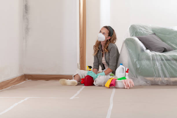 Reliable Commercial Mold Remediation contractor in Montgomery Village, MD by WQB Mold Removal